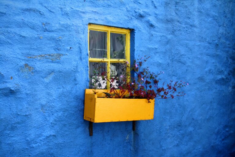 colors-pot-on-window-with-flowers.jpg