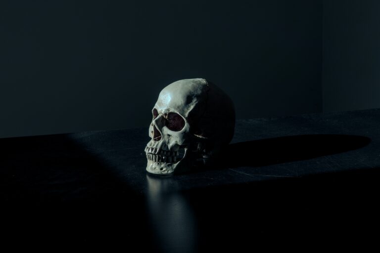 nightmares-white-and-black-skull-figurine-on-black-surface.jpg